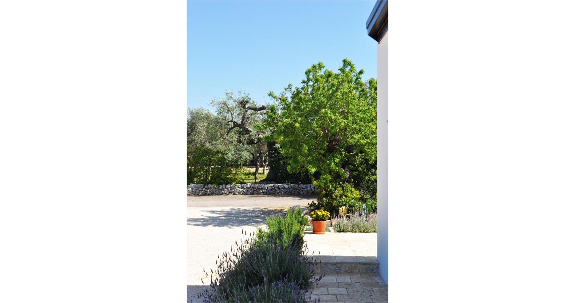 לינה וארוחת בוקר מונופולי Casale Petrarolo מראה חיצוני תמונה